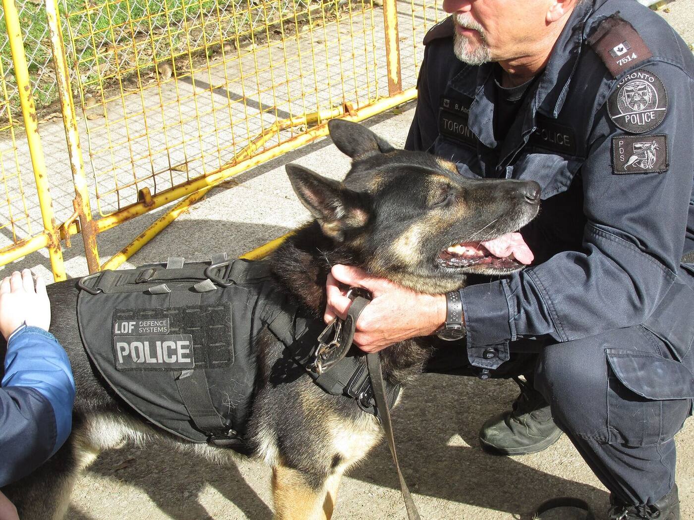 警犬资料图(图库照片)