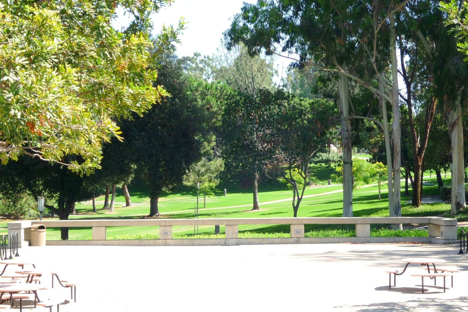 UC Irvine 校园 Aldrich Park 资料图(图库照片)