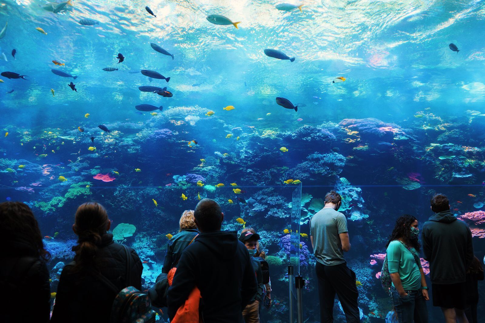 水族馆参观场景资料图(图库照片)