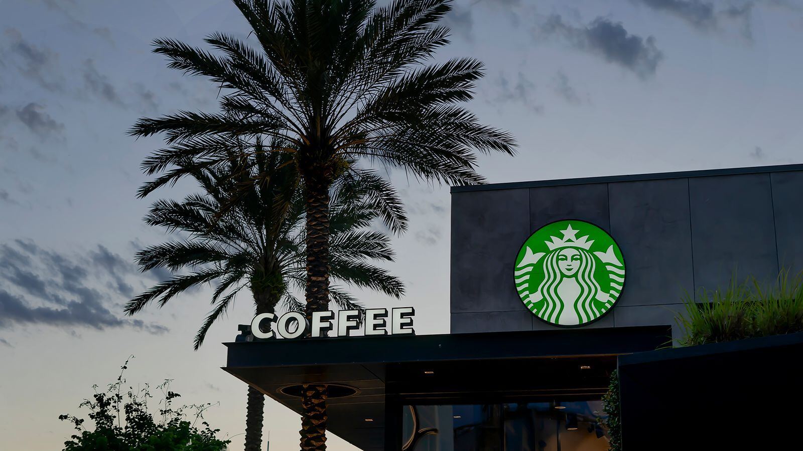 Starbucks 门店招牌资料图（图库照片）