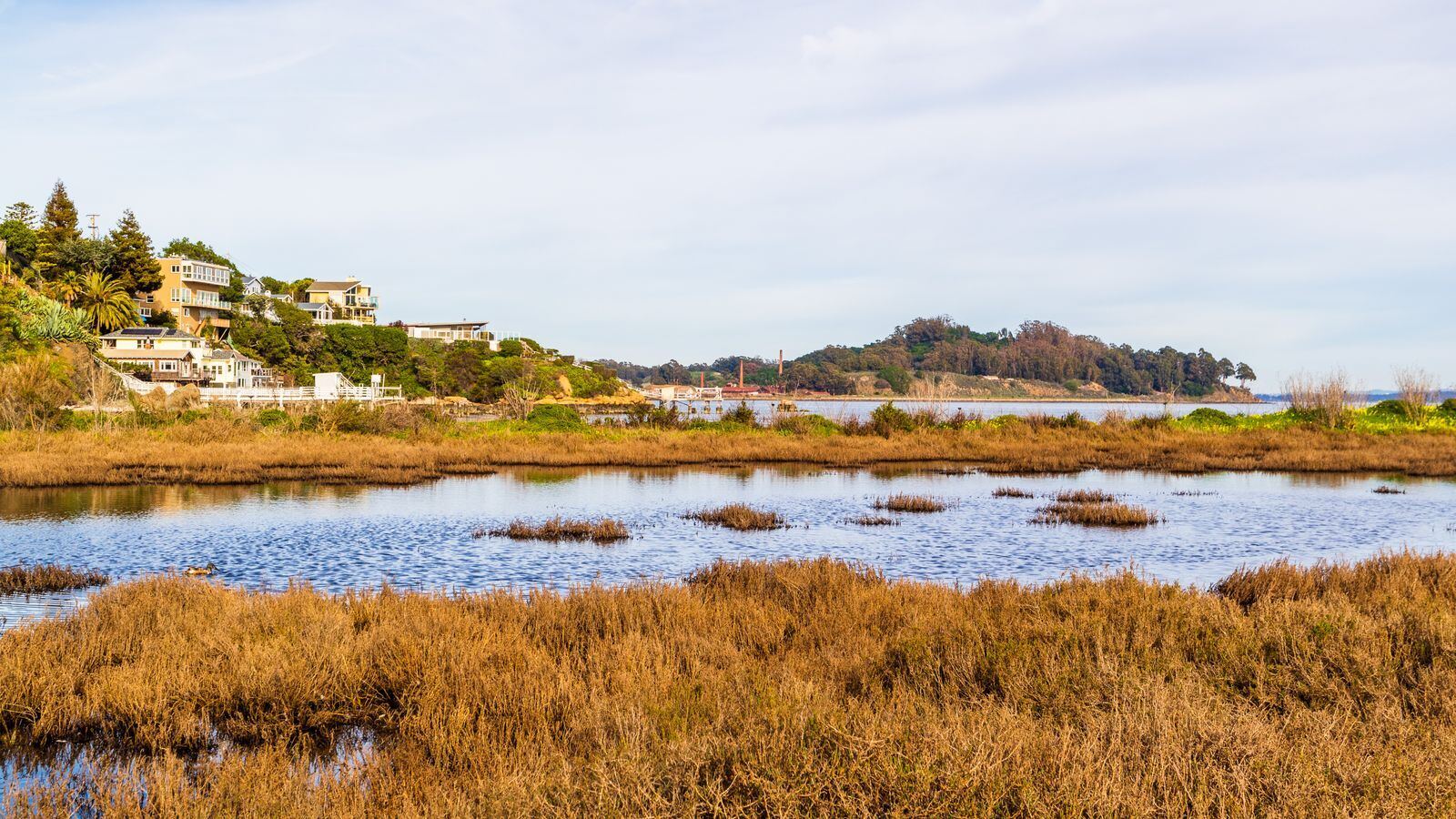 海岸湿地与丘陵资料图（图库照片，非 Randall Preserve 现场）