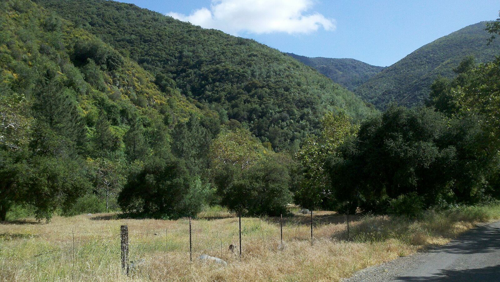 Silverado Canyon 山谷风光,资料图(Wikimedia Commons)