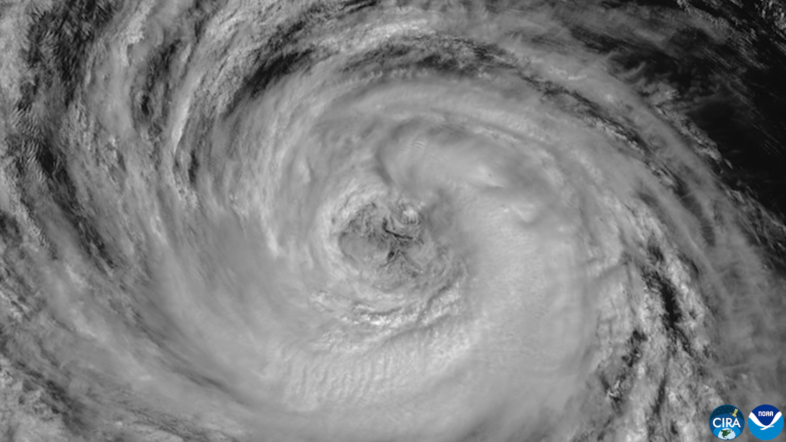 10月7日 GOES 卫星拍摄的飓风 Rachel 风眼(NOAA / CSU CIRA)