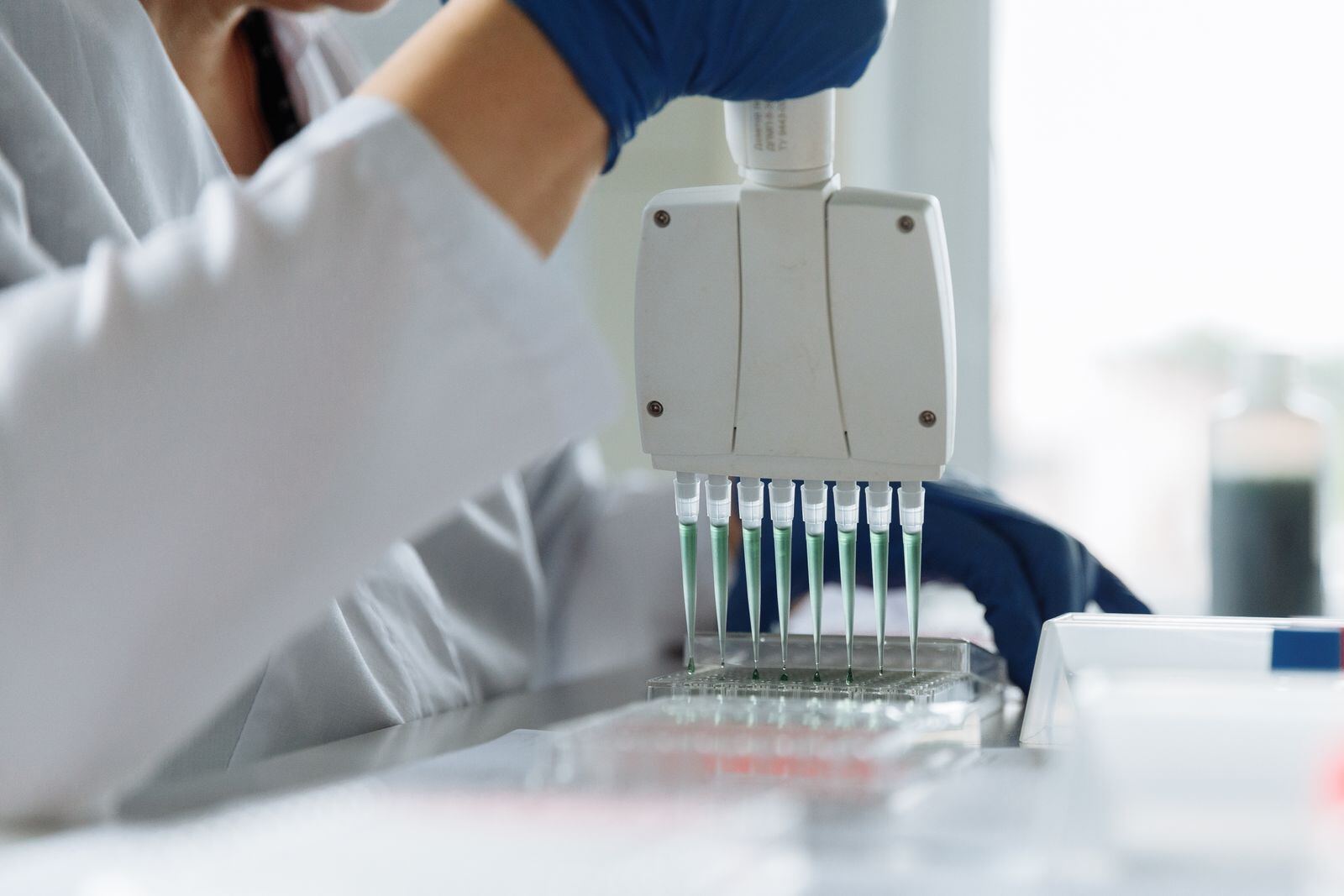 实验室 DNA 检测示意图（图库照片）
