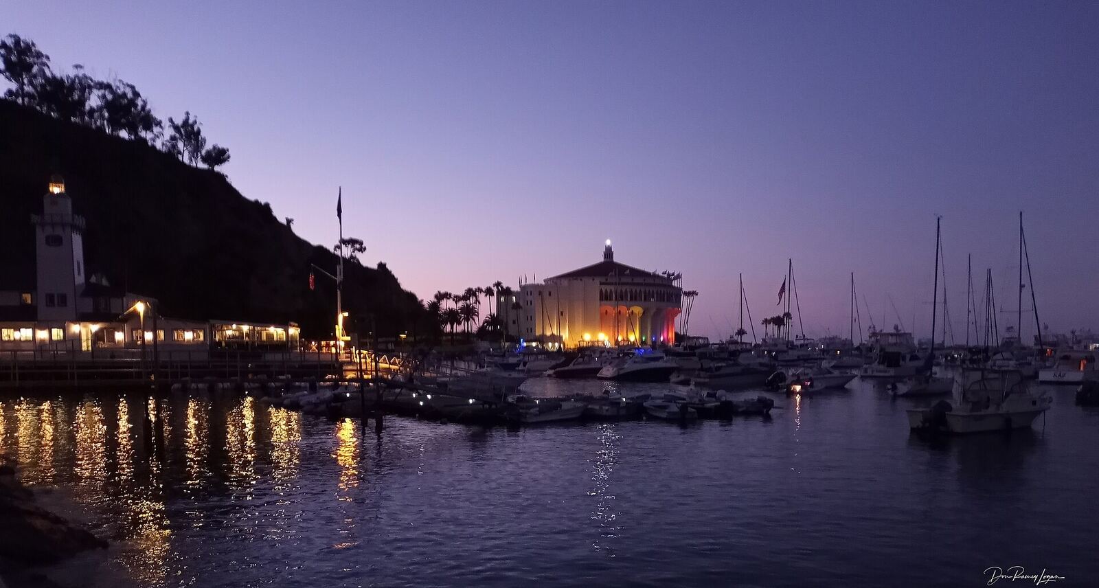 Catalina 岛 Avalon 港夜景资料图(Wikimedia Commons)