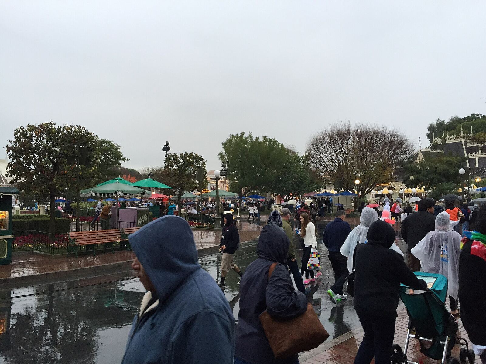 Disneyland 雨天资料图(Wikimedia Commons,2015年)