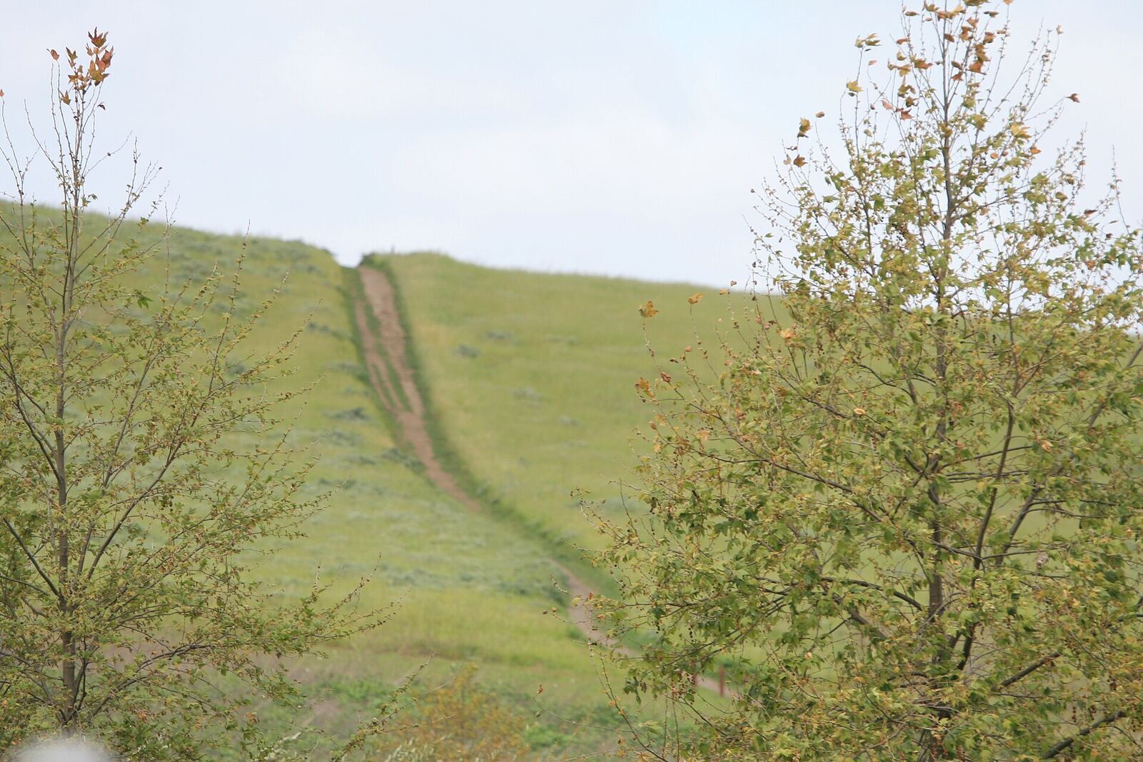 Quail Hill（尔湾）资料图
